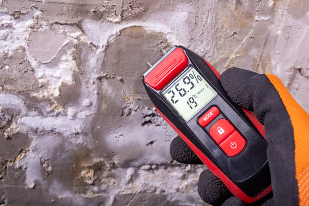 Best Toxic Mold Removal  in Clinton, WA