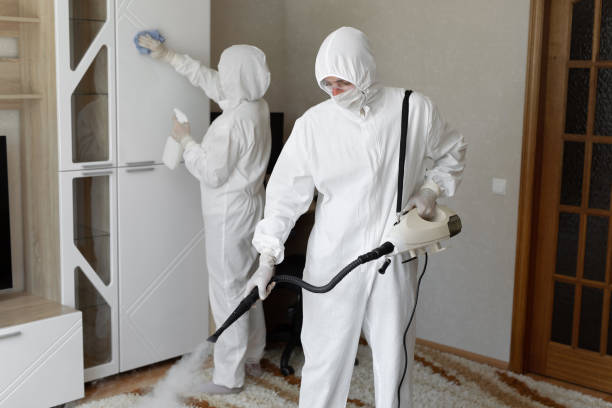 Best Office Mold Removal Services  in Clinton, WA