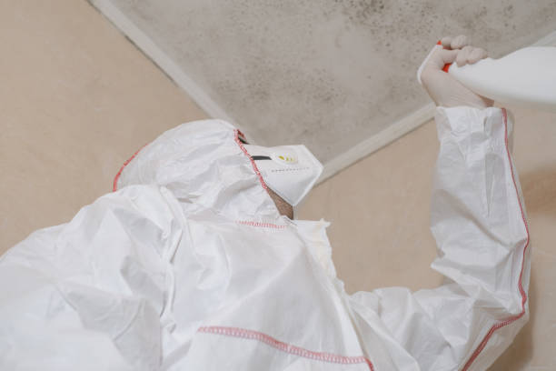 Best Black Mold Removal  in Clinton, WA