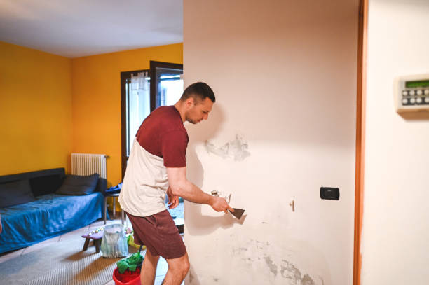 Attic Mold Removal in Clinton, WA
